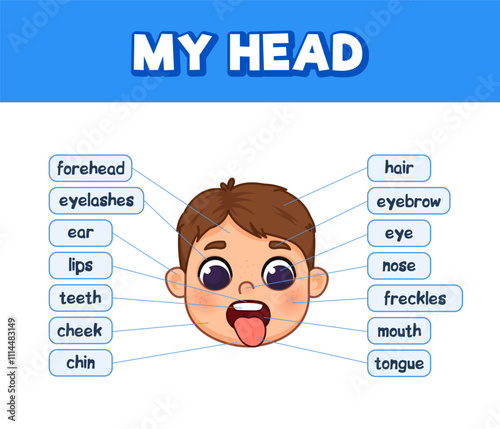 Anatomy of a boy's head. Parts of the face with names. Cute cartoon style illustration.