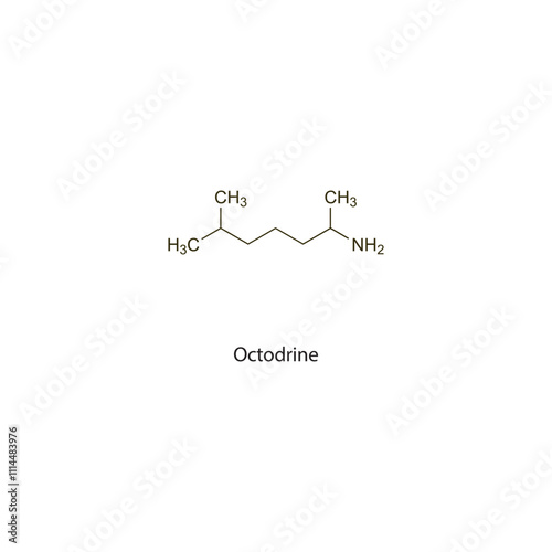 Octodrine flat skeletal molecular structure sympathomimetic drug used in hypotension treatment. Vector illustration scientific diagram.