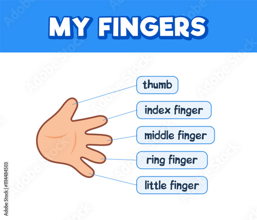 Children's hand anatomy with finger names. Body parts learning poster. Cute cartoon style illustration.