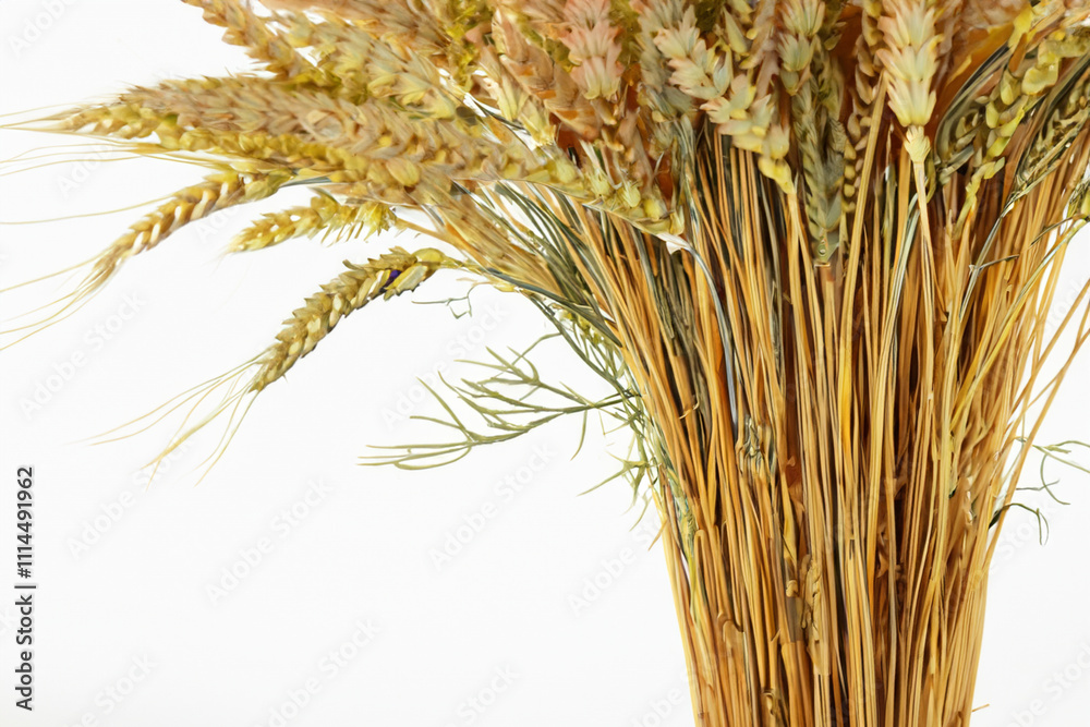 Fototapeta premium Bouquet of wheat with gray background. Bouquet wheat gray background golden vase. A golden vases of wheat on a gray background. A vase with wheat in it on lifestyle a white background.