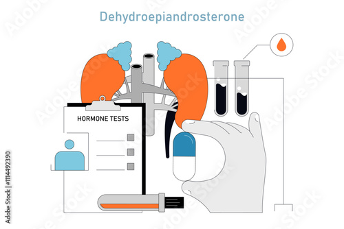 DHEA Supplement. Flat Vector Illustration