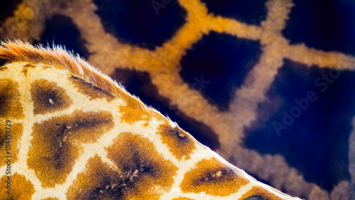 African safari inspired background pattern and texture. Extreme close-up of the hide of two giraffes standing side by side showing the different shades,  patterns and textures of each animal's skin.  photo