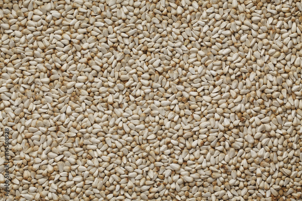 Fototapeta premium SEASAME SEEDS
