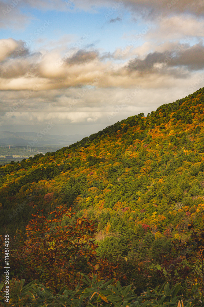 Obraz premium Hakoda mountain and Jogakura bridge view in Japan, famous travel destinations in autumn and fall season. Color of nature, season and leaf. An aerial view of maple tree, fantasy landscaped discovery.