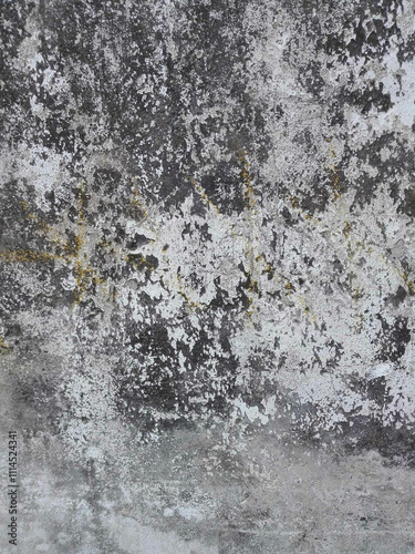Grunge texture.Dirty black white rough surface