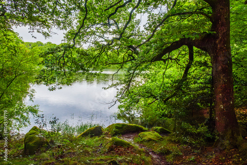 Lac du Lampy is an artificial lake located in the Aude department, in the Occitanie region, in the south of France. This lake supplies water to the Canal du Midi in a magnificent natural environment, 