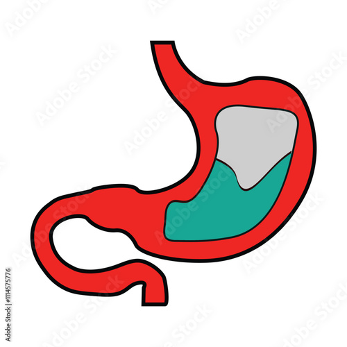 
Healthy stomach vector art illustration.