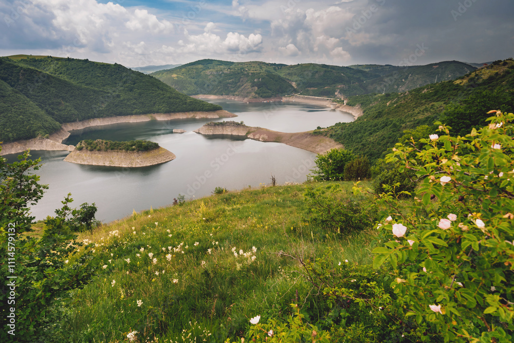 Summer Landscape with Uvac River in Green Valley