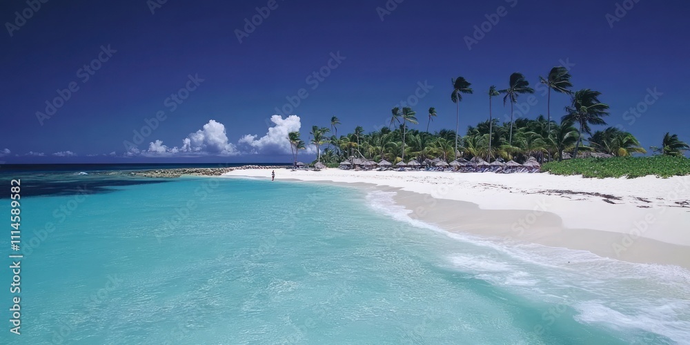 Fototapeta premium Tropical Beach Scene with Palm Trees and Clear Water