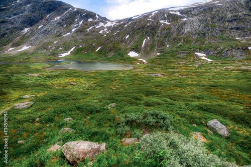 Geiranger is a town located in front of the Geirangerfjord, in western Norway. photo