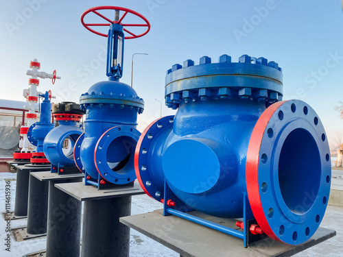 The significance of Industrial Blue Valves in contemporary pipeline systems cannot be overstated as they play a key role in the operation of heavyduty equipment photo