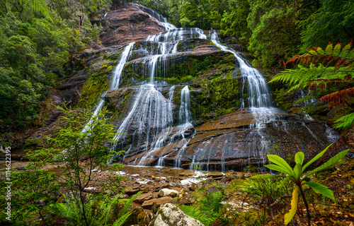 waterfall in the forest