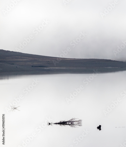 abstract photography photo