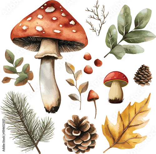 vector set of forest botanical watercolor set with mushrooms, leaves and pine cones on white