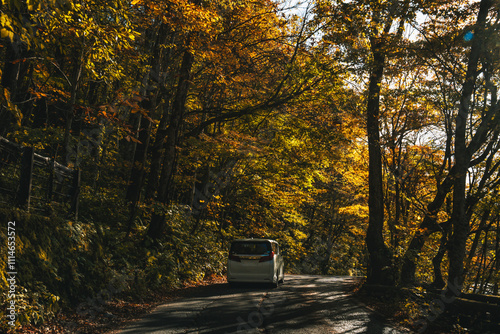 Road way to nature in Hakoda mountain to Towada and Jogakura bridge view in Japan, travel destinations in autumn and fall season. Color of nature, season and leaf. Maple tree, woodland landscaped. photo