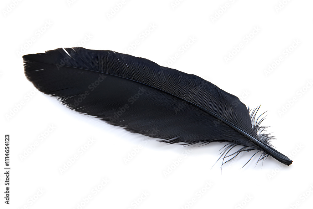 Elegant Black Feather Isolated on White Background Perfect for Artistic Designs, Crafts, and Nature Themes in Photography and Digital Creations Elegant Black Feather Isolated on White Background Perfect for Artistic Designs, Crafts, and Nature Themes in Photography and Digital Creations