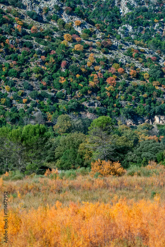 Paraje Bujaraiza en el embalse del Tranco, río Guadalquivir, en el parque natural de Cazorla, Segura y Las Villas.