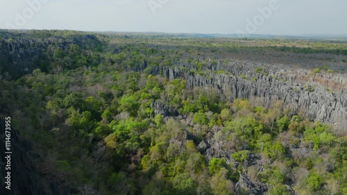 Aerial perspective of Tsingy de Bemaraha National Park, showcasing the unique and challenging landscape of this UNESCO World Heritage Site