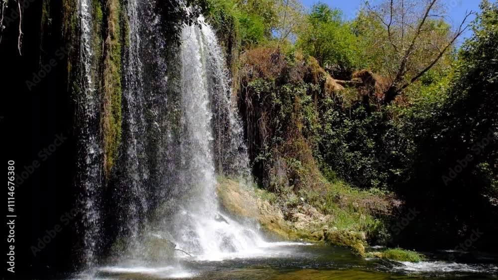 Waterfall and river flowing in the forest
