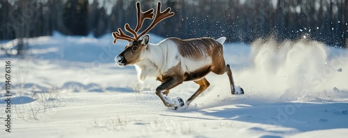 Reindeer trotting through a snowy landscape, capturing the essence winter wildlife photo