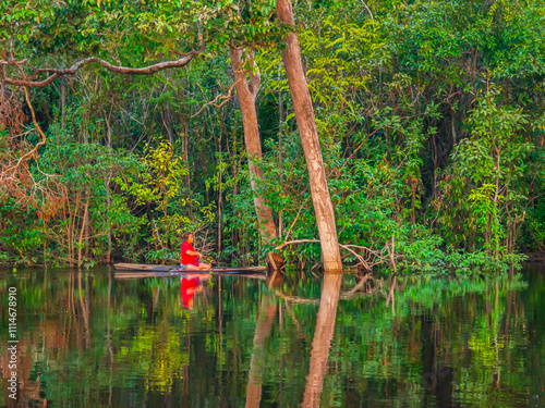 Canvas Print Amazon River, Amazonia