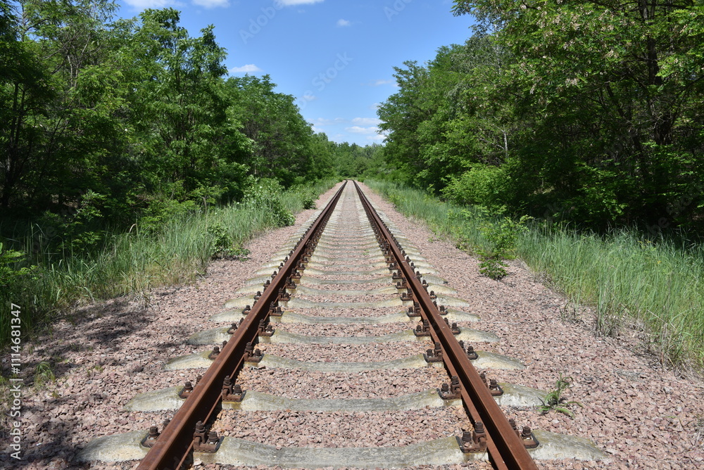 Fototapeta premium Exclusion Zone