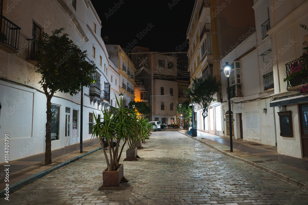 Obraz premium A narrow cobblestone street in Tarifa, Spain, is illuminated at night. Whitewashed buildings with balconies line the path, adorned with potted plants.