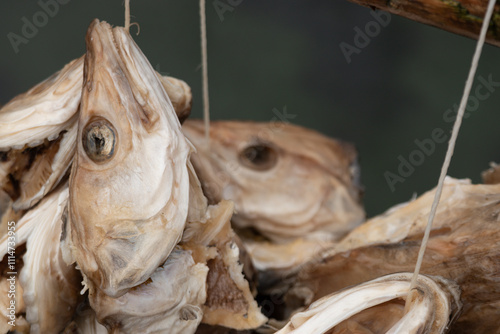 Drying fish heads in the Traditional Fishing village, authentic in Nusfjord, Lofoten, Norway photo