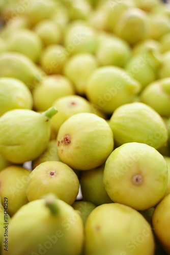 fruta recién recolectada (con desenfoque)