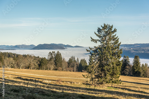 Au Mont-Soleil dans le Commune de Saint-Imier en Décembre 2024 (Canton de berne) photo