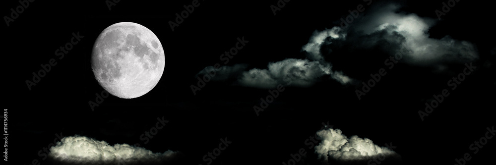 Obraz premium The moon in the night sky