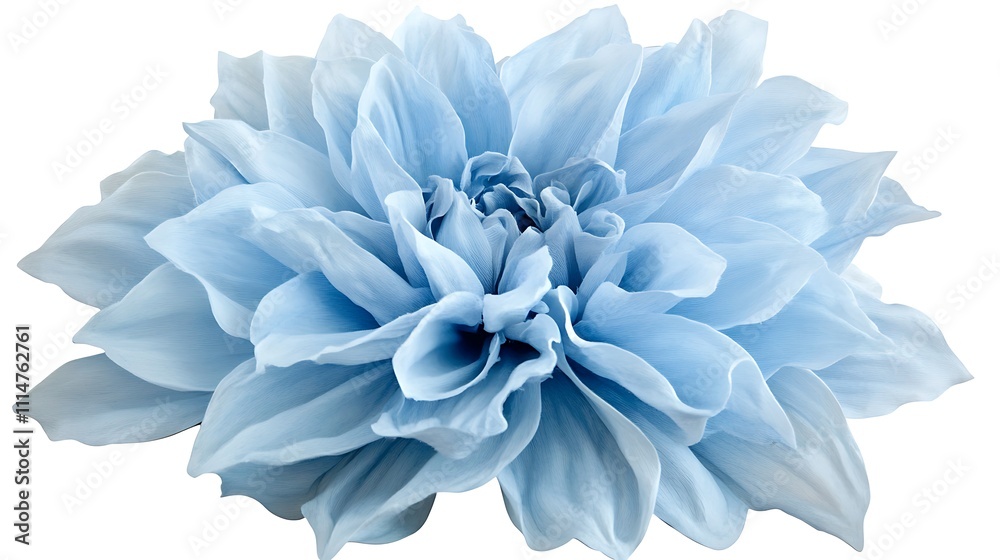 Obraz premium Soft blue dahlia, delicate petals, elegant bloom.