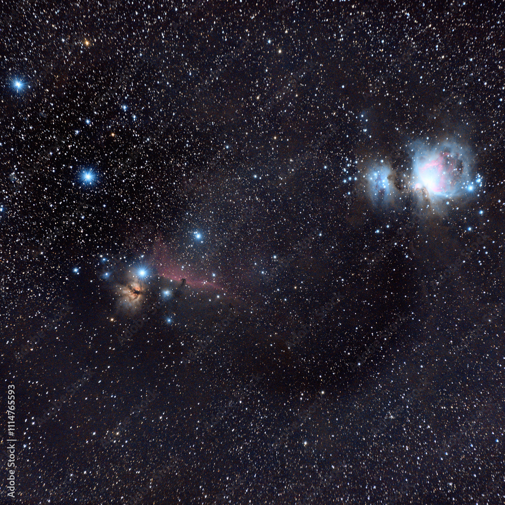 Fototapeta premium night sky orion