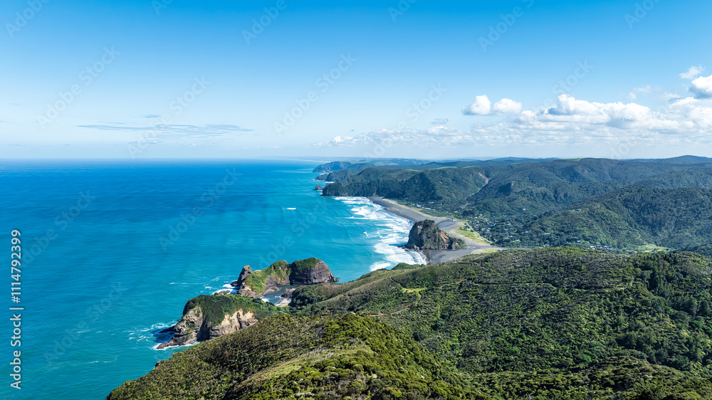 views of Auckland west coast Piha beach from high above the cliffs on the Mercer bay loop walk views of Auckland west coast Piha beach from high above the cliffs on the Mercer bay loop walk