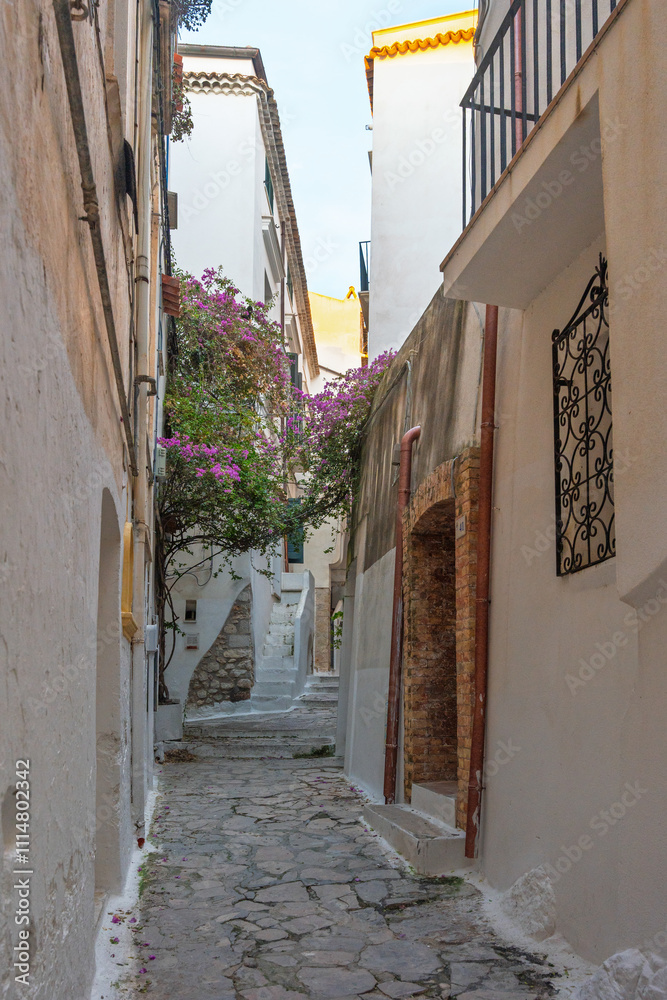 Obraz premium tourist photos of italy