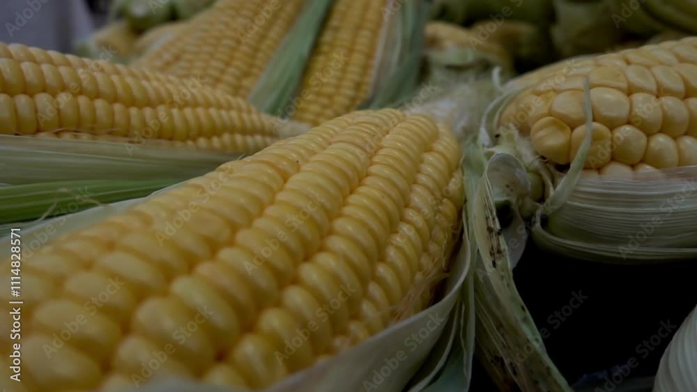 Yellow Sweet Corn: A Burst of Sunshine on Bright and Dark Backdrops