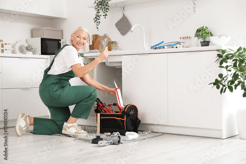 Mature female plumber with ...