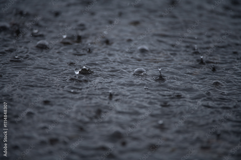 Rain. Raindrops background. Rain. Falling raindrops. Water drop splash. Abstract shape out of the water. Raining outside. Water texture. Rain. Raindrops background. Rain. Falling raindrops. Water drop splash. Abstract shape out of the water. Raining outside. Water texture.