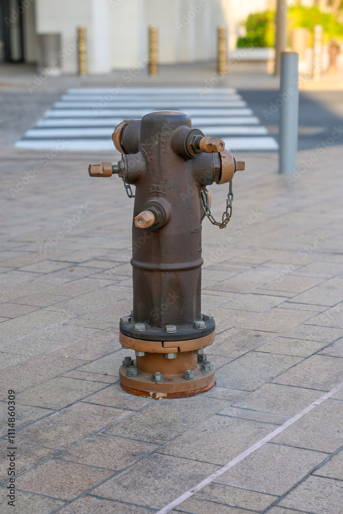 Fototapeta premium iron fire hydrant on sidewalk
