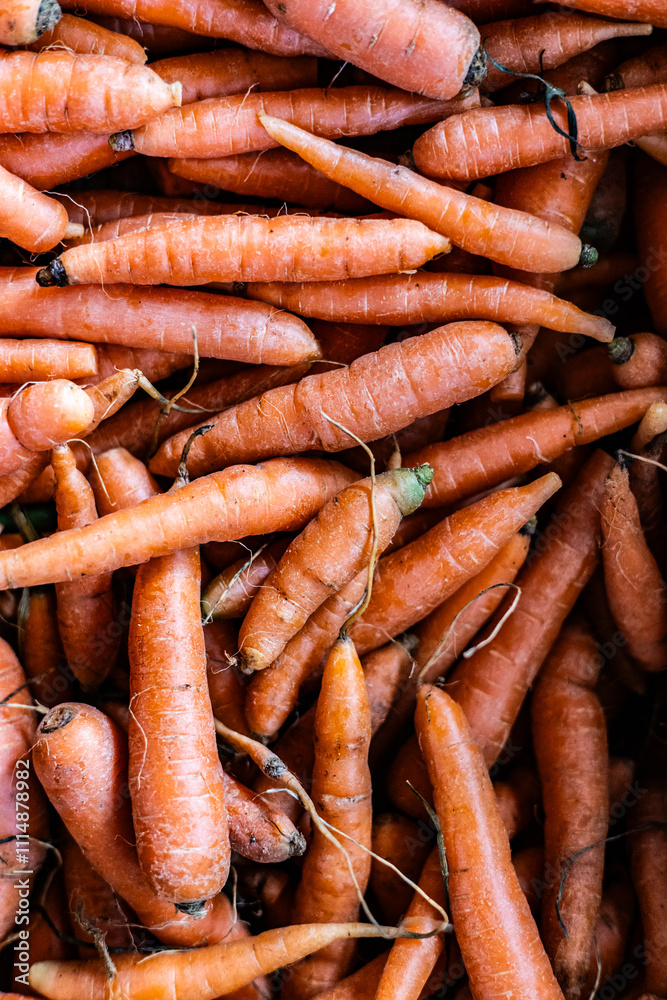 Fototapeta premium Organic veg - carrots