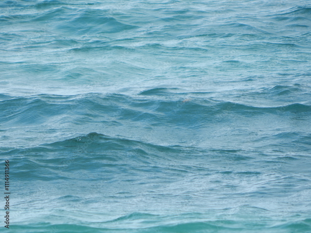 Obraz premium Ocean Waves