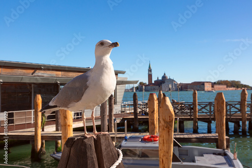 A seagull sits on the embankment with the island of San Giorgio Maggiore and a church on the other side of the lagoon in the background in Venice, Italy photo