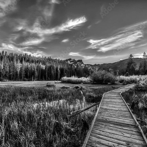 wooden bridge in the mountains