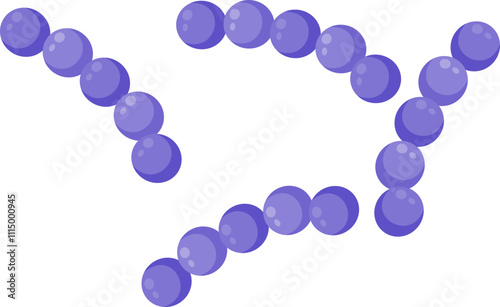 streptococcus