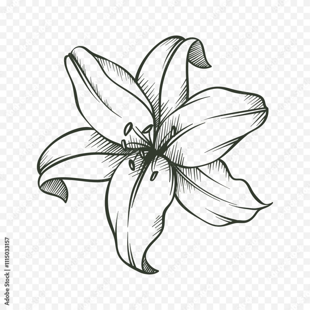 Obraz premium Hand drawn spring flowers illustration. floral illustration