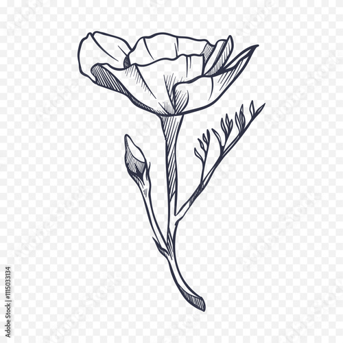 Wallpaper Mural Hand drawn spring flowers illustration. floral illustration Torontodigital.ca