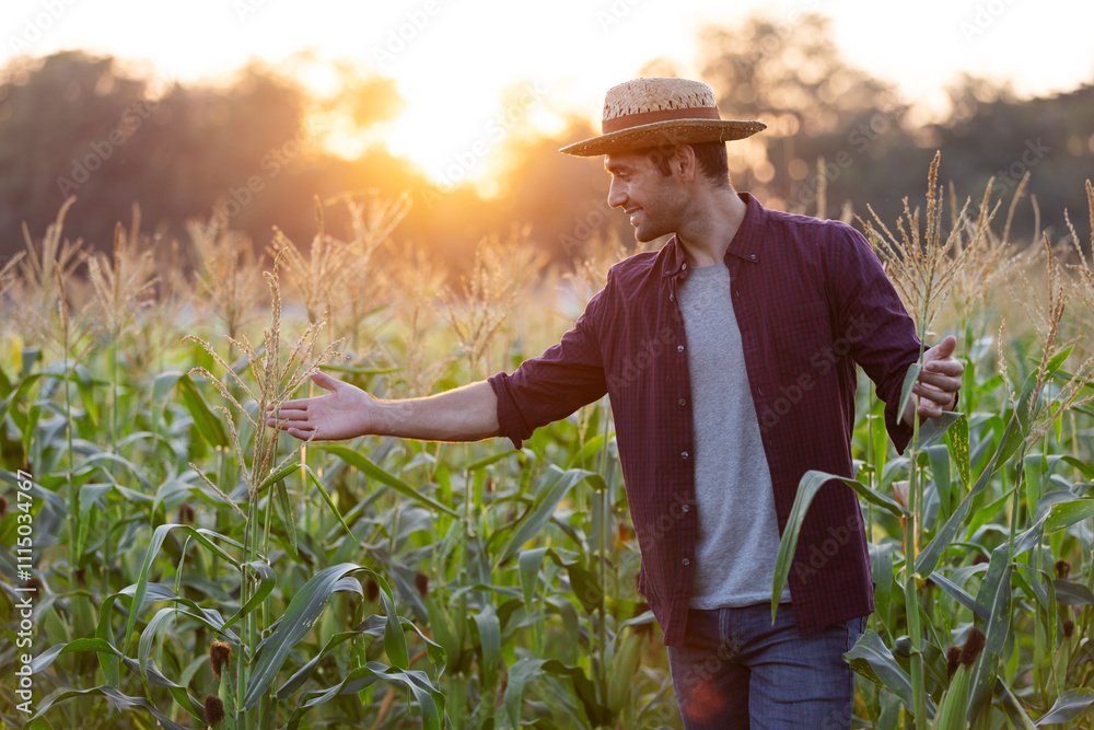 © kamonrat - Farmer Enjoying the Sunset in a Cornfield, Embracing Nature and the Golden Light, Representing Connection with the Land, Agriculture, and Peaceful Moment at the End of a Productive Day © kamonrat - Farmer Enjoying the Sunset in a Cornfield, Embracing Nature and the Golden Light, Representing Connection with the Land, Agriculture, and Peaceful Moment at the End of a Productive Day