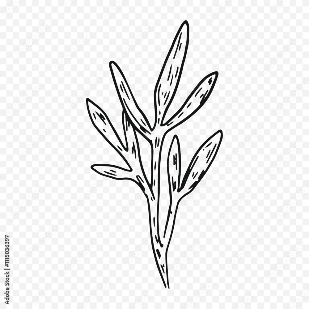 Obraz premium Hand drawn spring flowers illustration. floral illustration