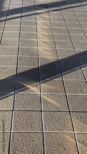 遊歩道をゆっくり歩く　移動撮影　縦動画