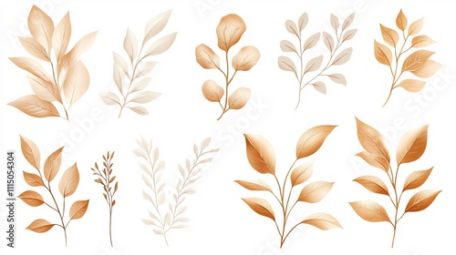 Collection of beige and gold leaves and branches isolated on white background.